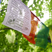 Load image into Gallery viewer, Tibetan Prayer Flags